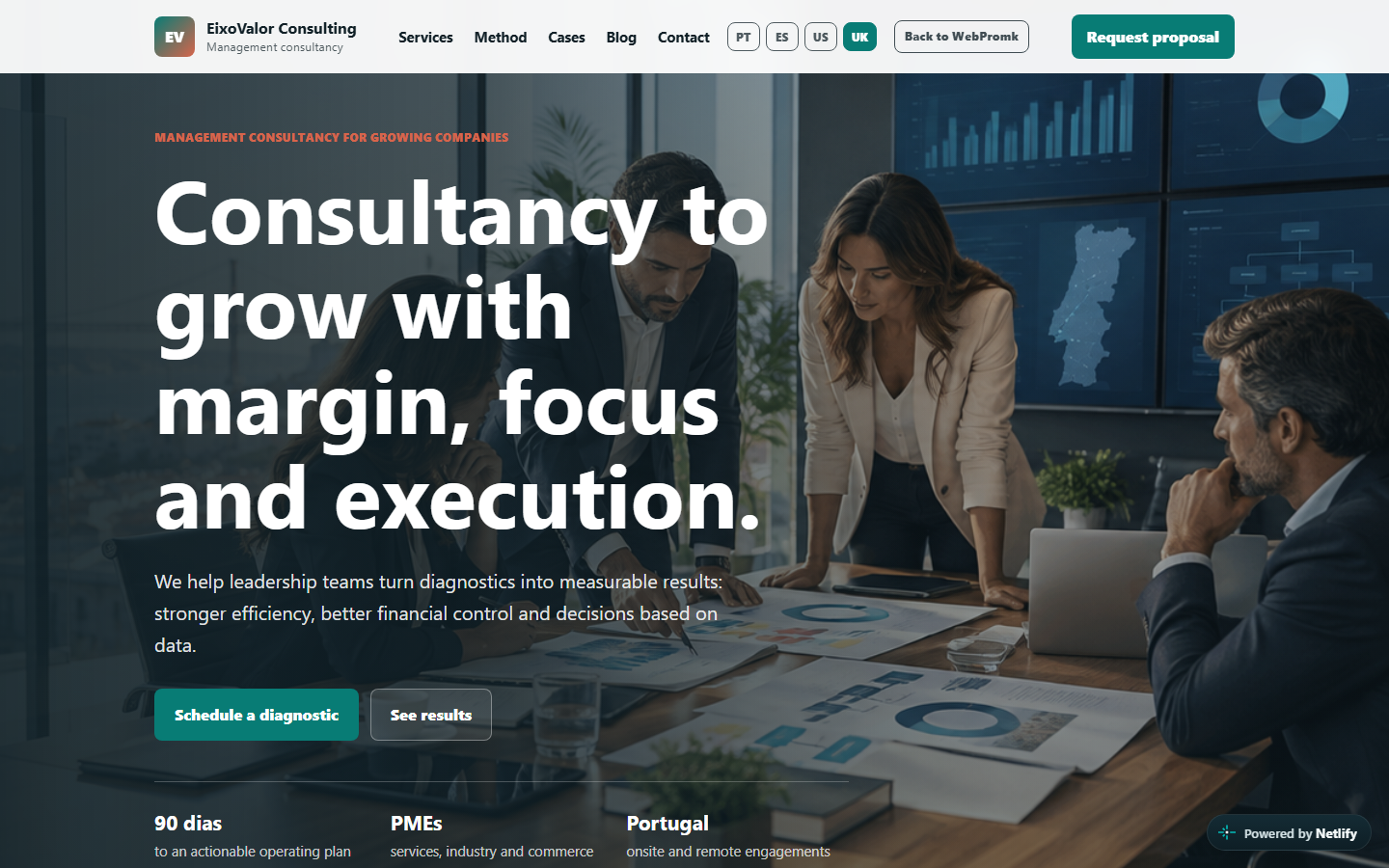 ConsultingMK website window