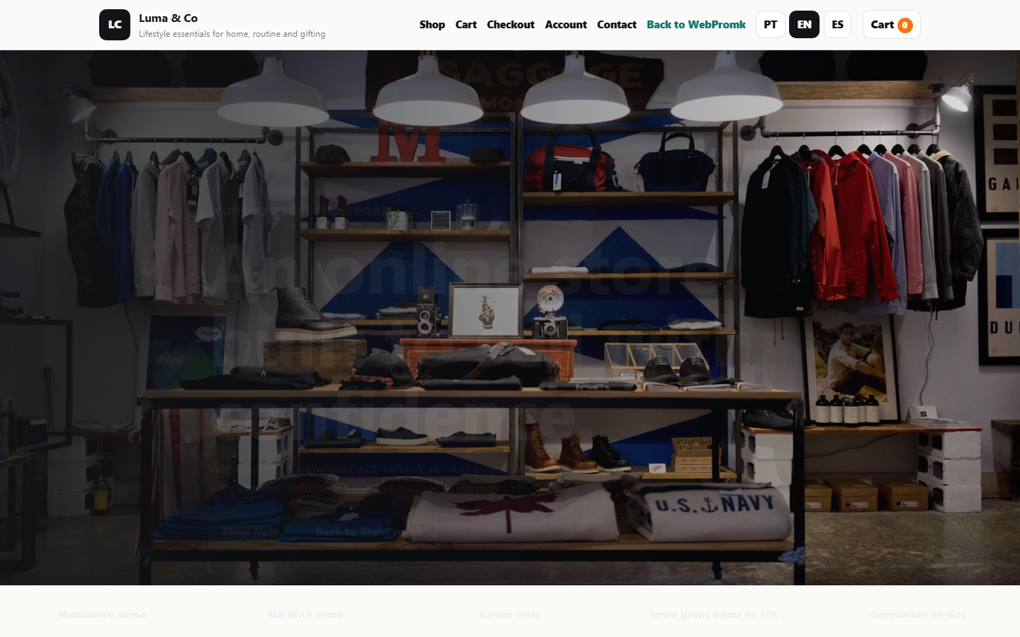 Luma & Co website window